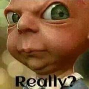 Meet your Posher, Barbara